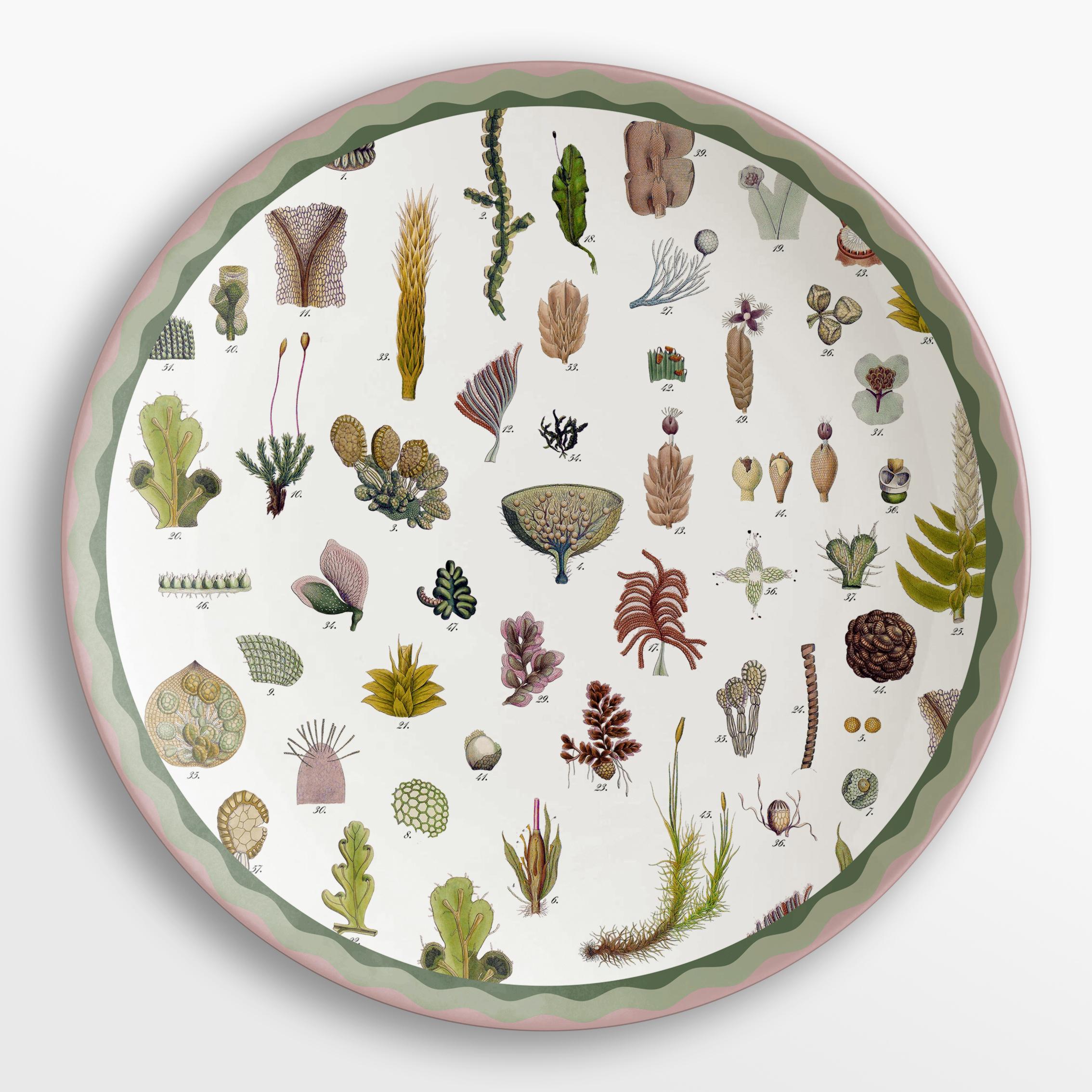 Meuble de rangement de curiosités, six plateaux en porcelaine décorés contemporains Neuf - En vente à Milano, Lombardia