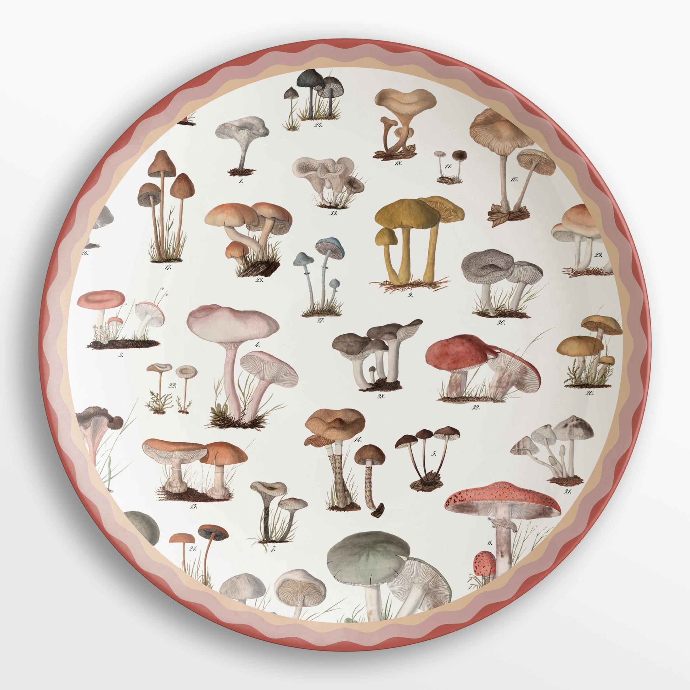 Cabinet de Curiosités, Six Contemporary Decorated Porcelain Platters For Sale 1