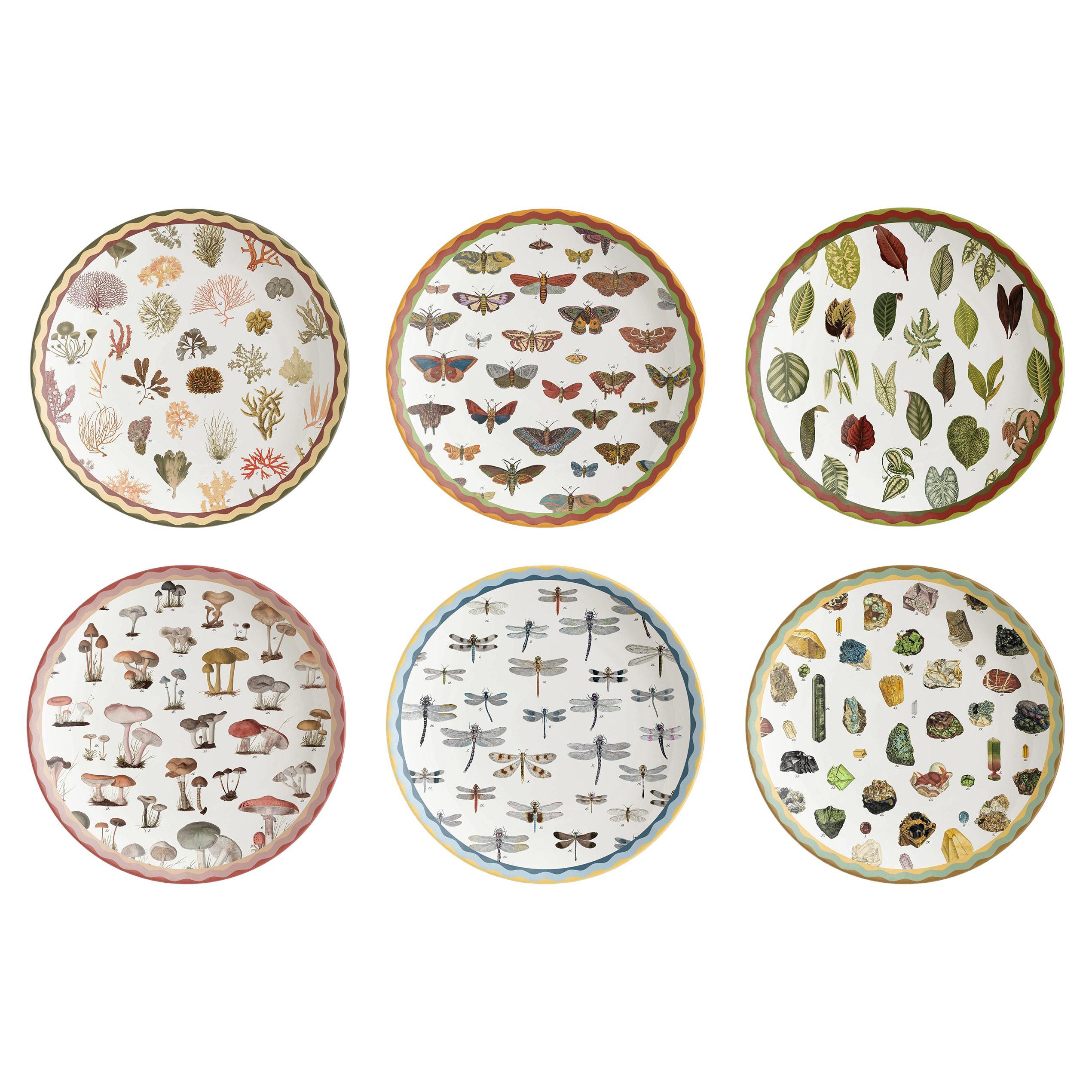 Meuble de rangement de curiosités, six plateaux en porcelaine décorés contemporains