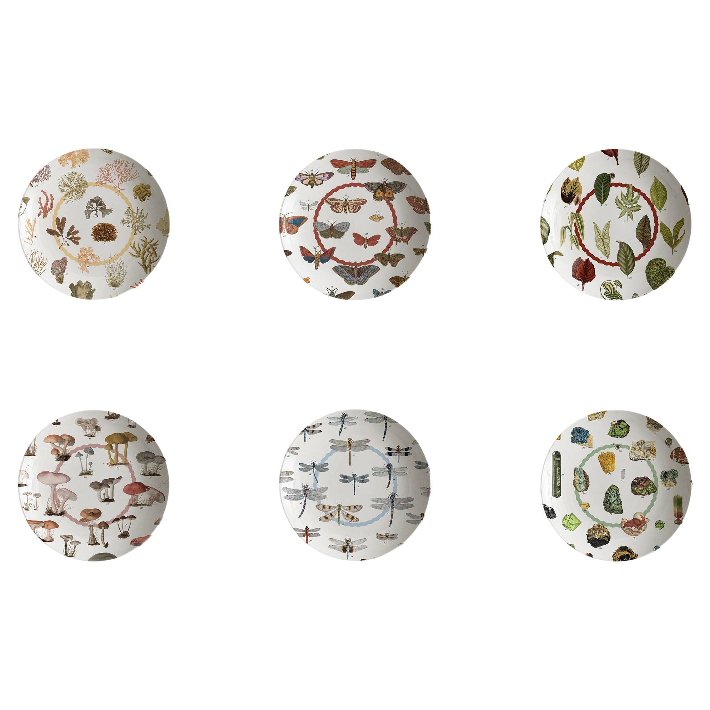 Cabinet de Curiosités, Six Contemporary Decorated Porcelain Soup Plates