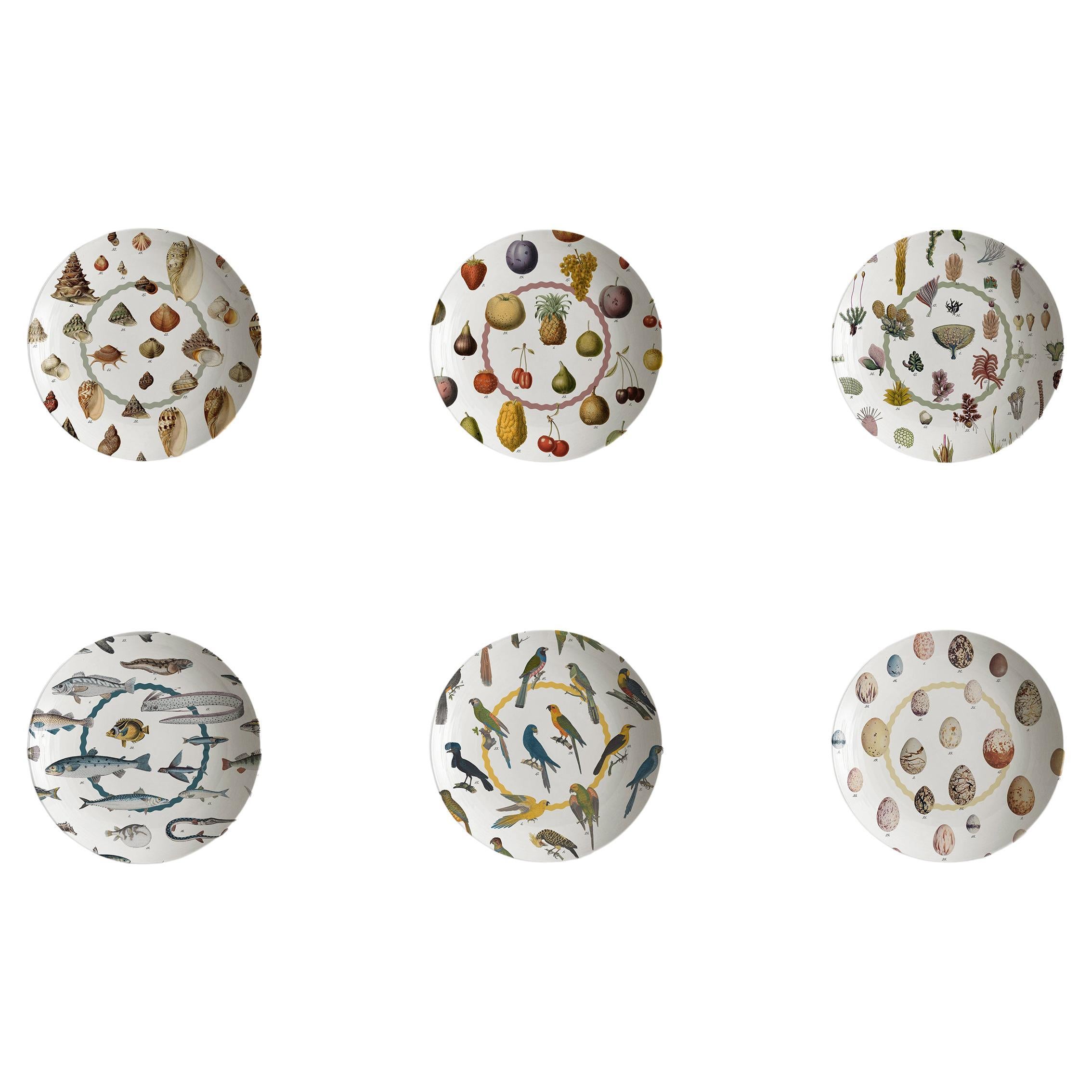 Cabinet de Curiosités, Six Contemporary Decorated Porcelain Soup Plates