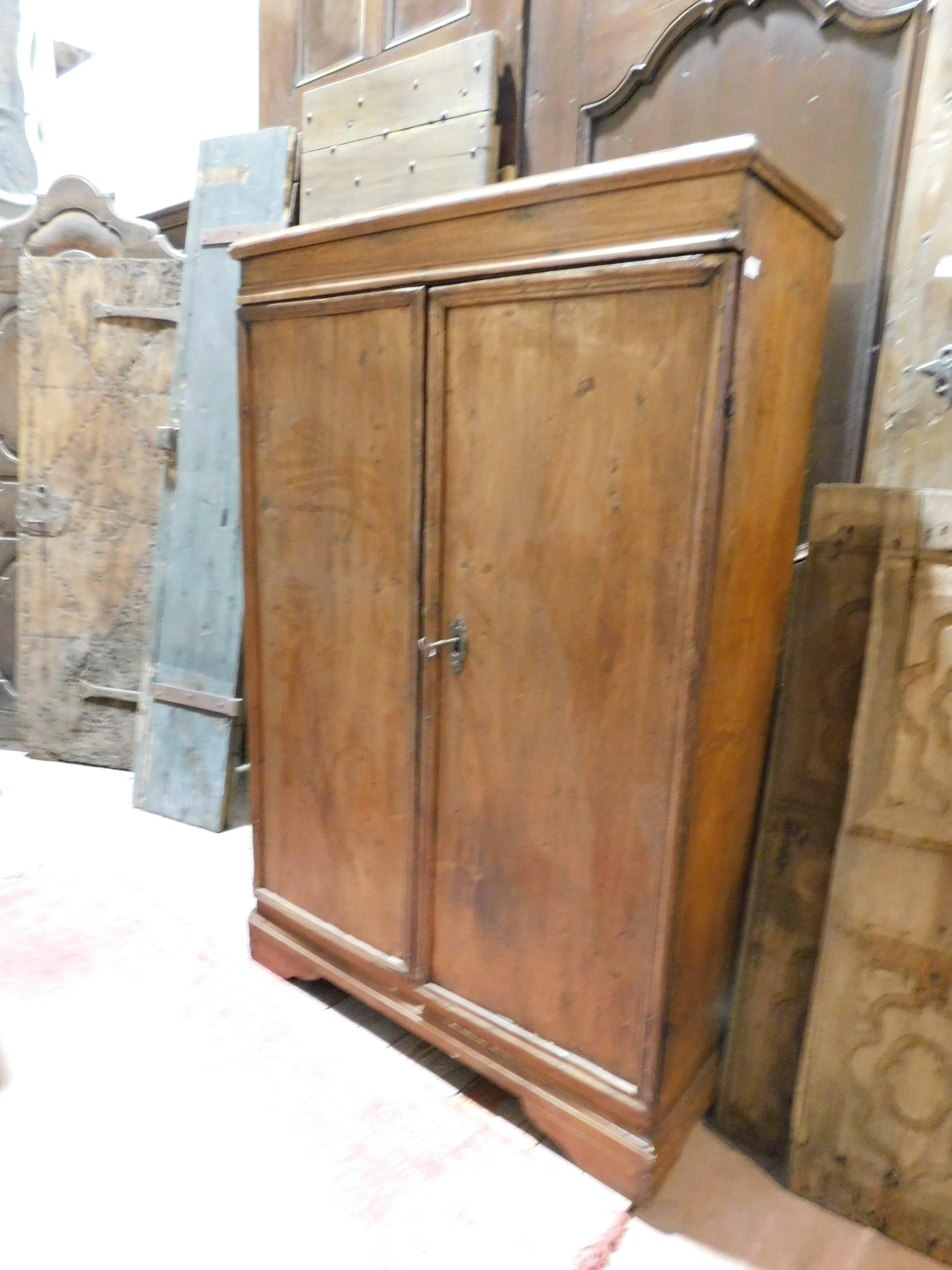 Italian Cabinet in Poplar, 2 Capacious Doors, 18th Century Italy