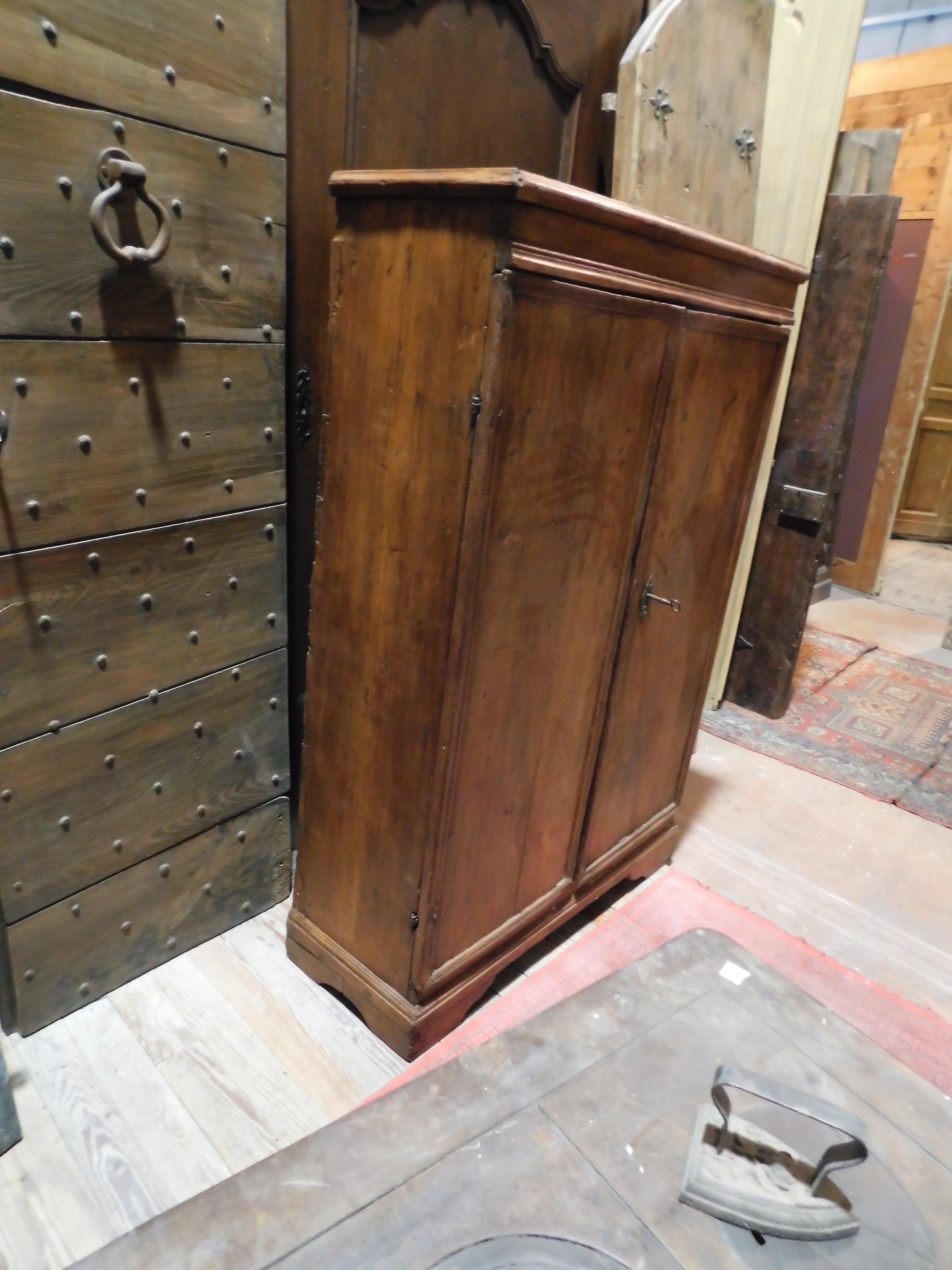 Cabinet in Poplar, 2 Capacious Doors, 18th Century Italy In Good Condition In Cuneo, Italy (CN)