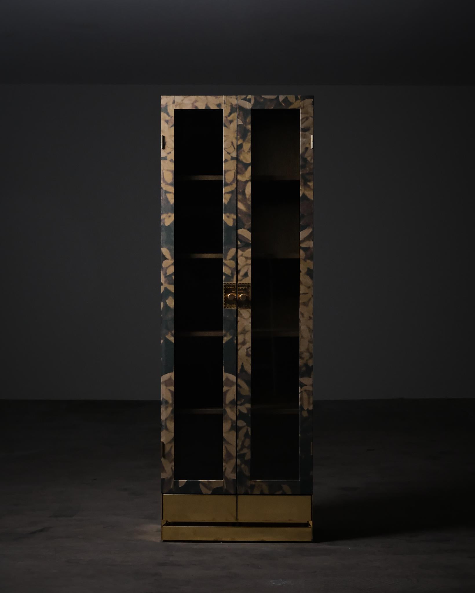 Scandinavo moderno Cabinet 