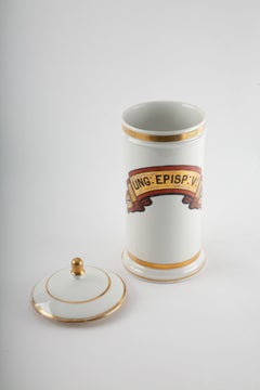 Cabinet of Cures: Six 19th Century Apothecary Jars