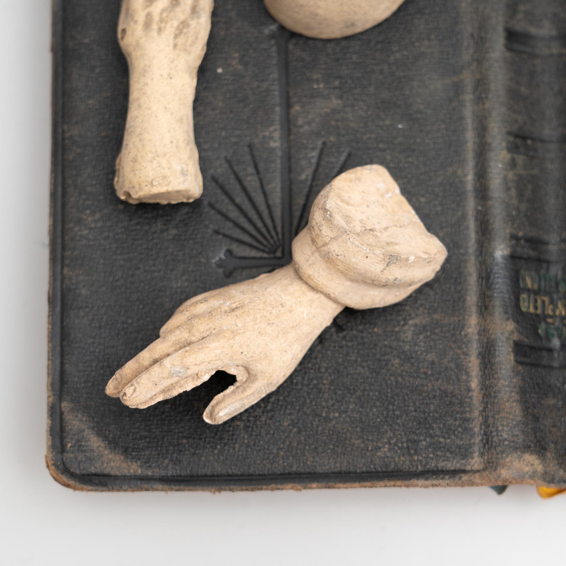 Cabinet of Curiosities Antique Book Sculptural Artwork, circa 1950 In Good Condition For Sale In Barcelona, ES