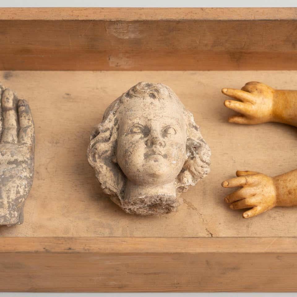 Cabinet de curiosités Tiroir Sculpture d'art, circa 1950 en vente 5