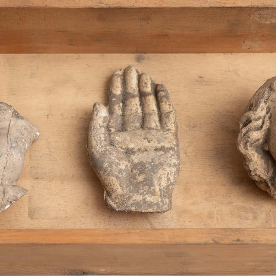 Cabinet de curiosités Tiroir Sculpture d'art, circa 1950 en vente 6