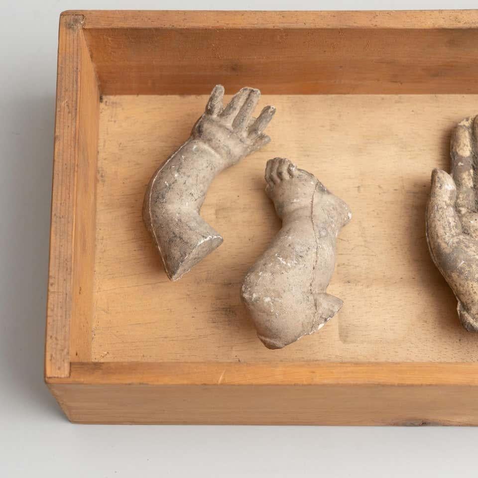 Cabinet de curiosités Tiroir Sculpture d'art, circa 1950 en vente 7