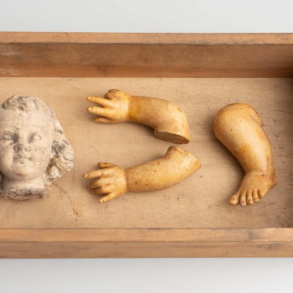 Cabinet de curiosités Tiroir Sculpture d'art, circa 1950 en vente 8