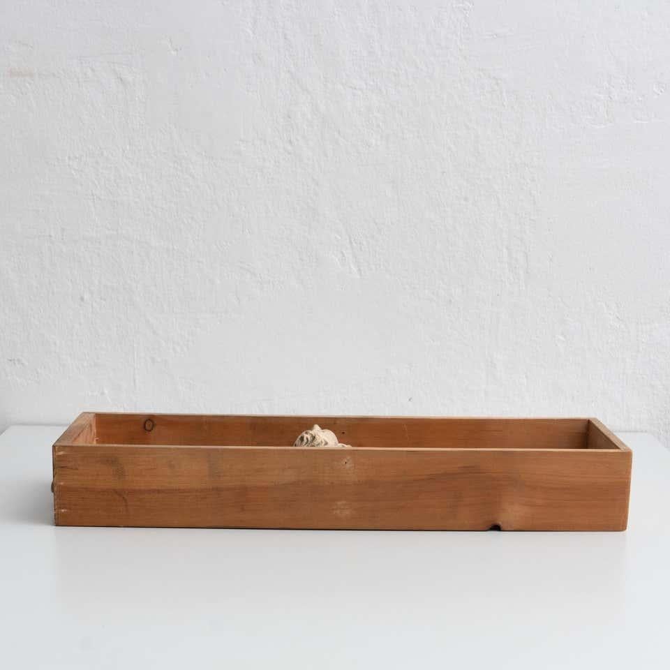 Cabinet de curiosités Tiroir Sculpture d'art, circa 1950 Bon état - En vente à Barcelona, ES