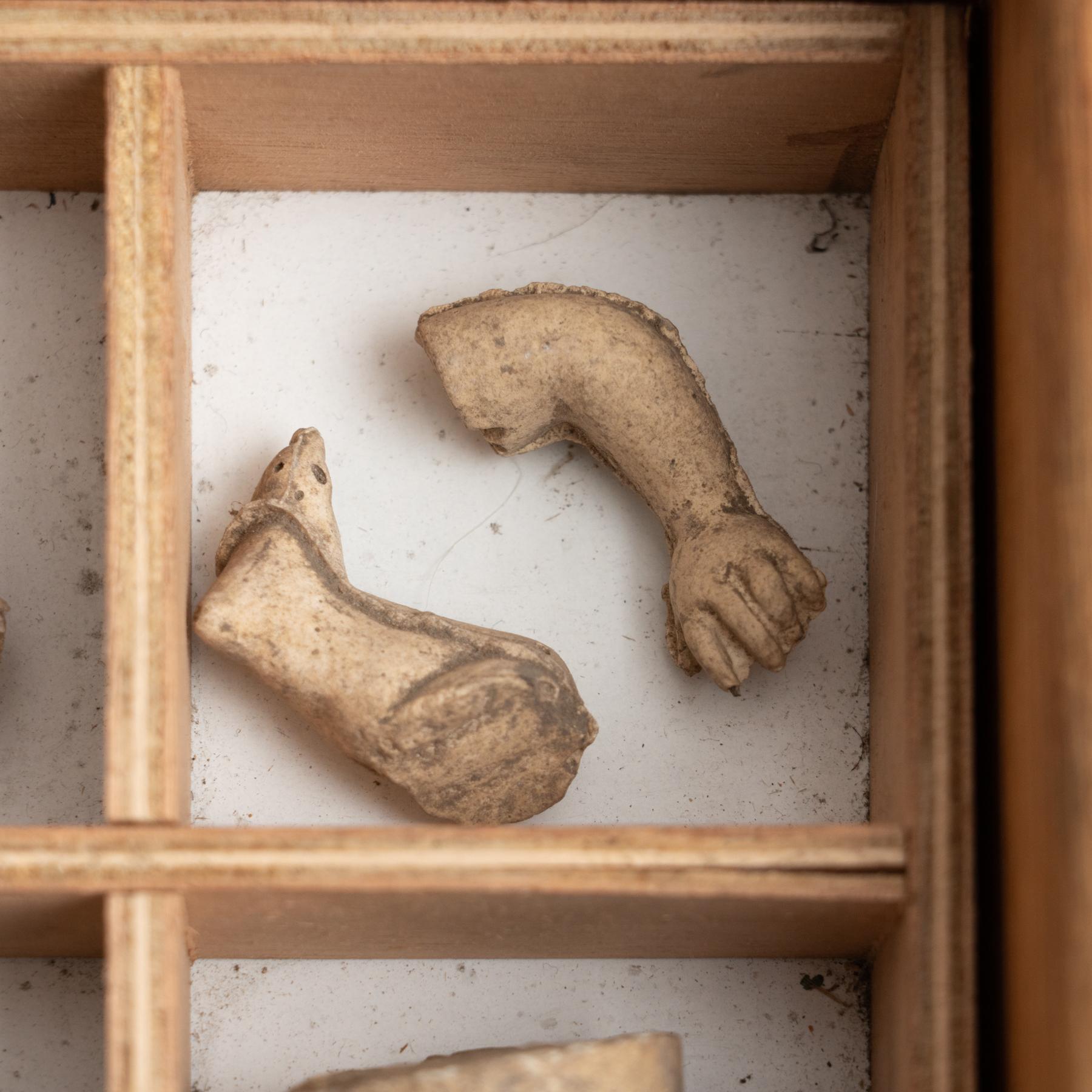 Plaster Cabinet of Curiosities Drawer Sculptural Artwork, circa 1950 For Sale