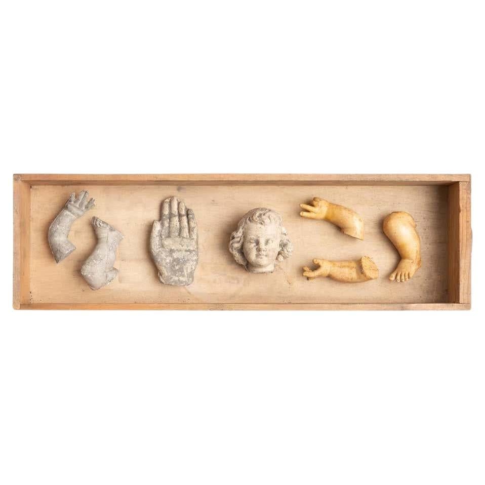 Cabinet of Curiosities Drawer Sculptural Artwork, circa 1950