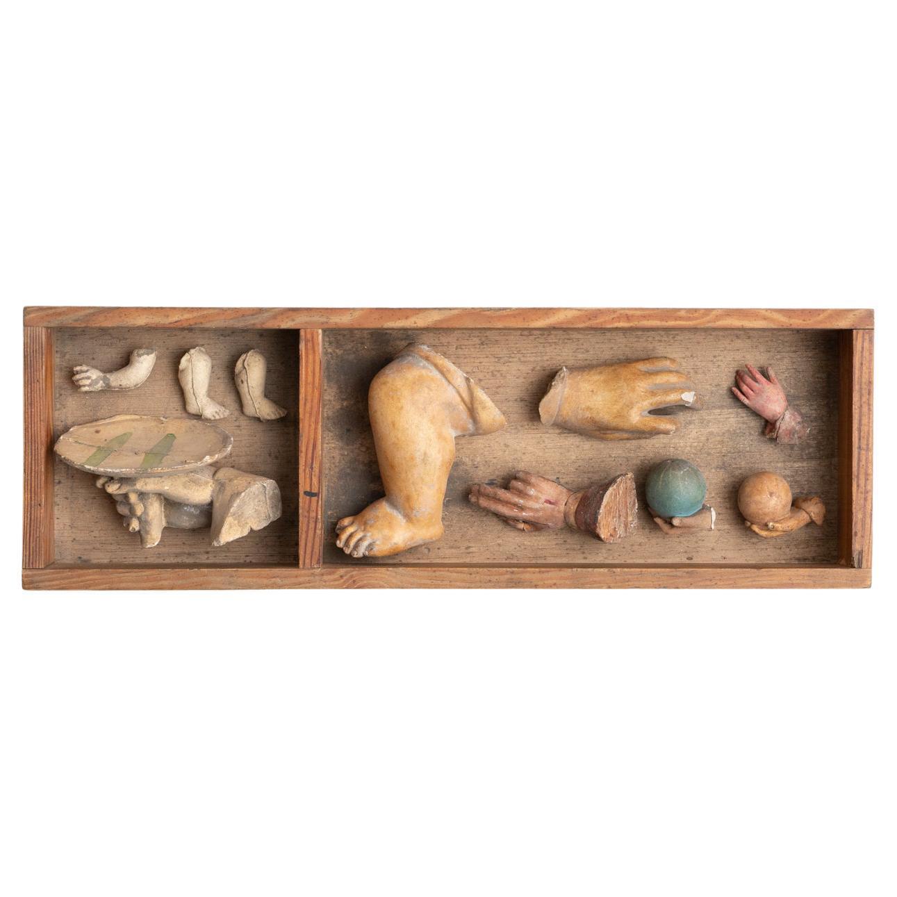 Cabinet of Curiosities Drawer Sculptural Artwork, circa 1950