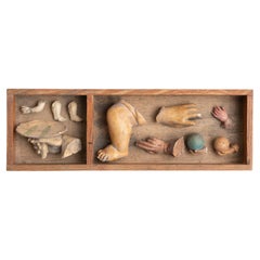 Cabinet of Curiosities, opera d'arte scultorea a cassetto, 1950 circa