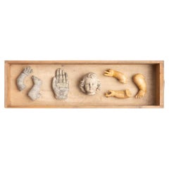 Cabinet of Curiosities Drawer Sculptural Artwork, circa 1950