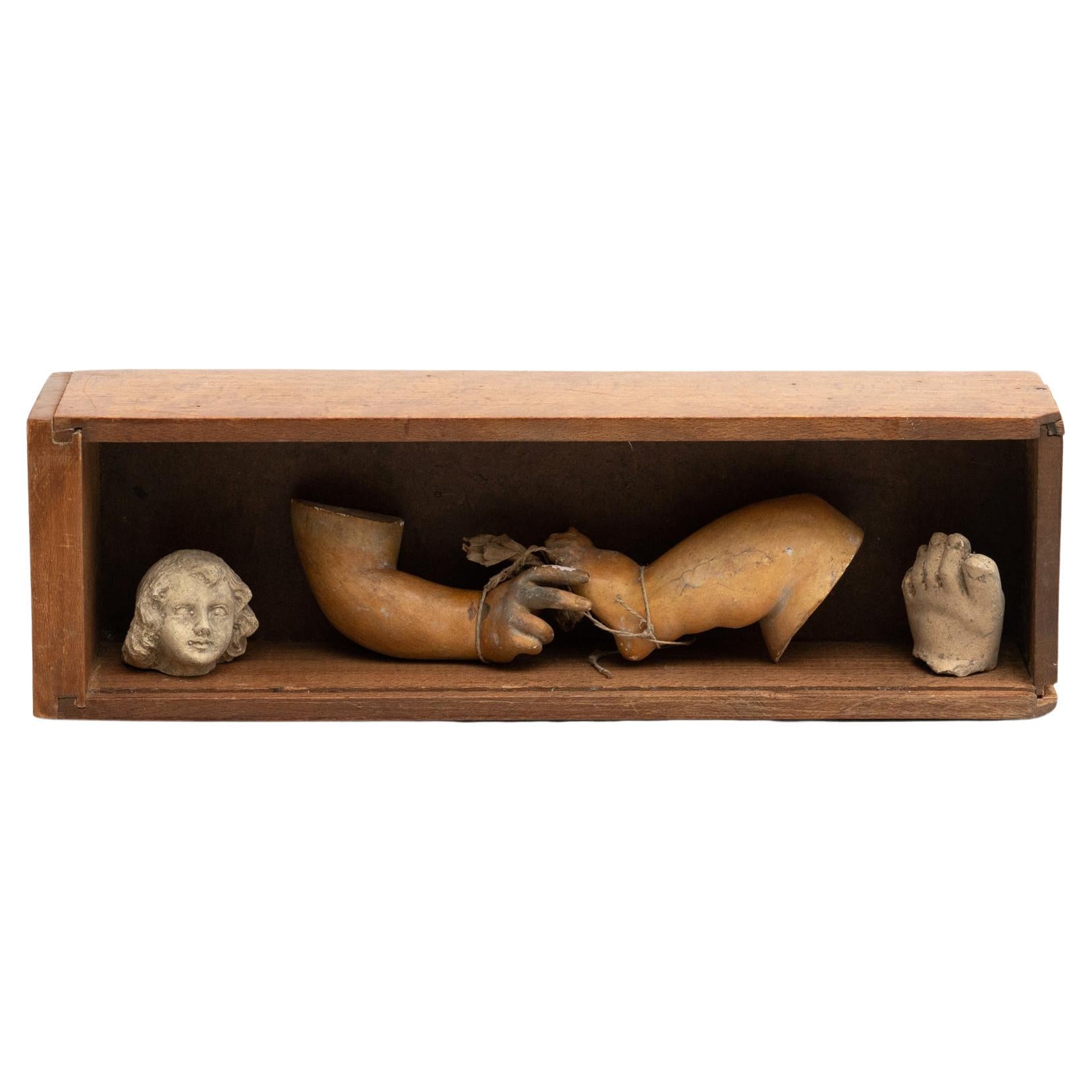 Meuble de rangement de curiosités œuvres d'art sculpturale, vers 1950 en vente