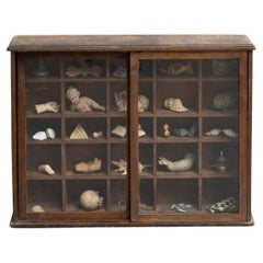 Vintage Cabinet of Curiosities Sculptural Artwork on a Wooden Cabinet, circa 1950