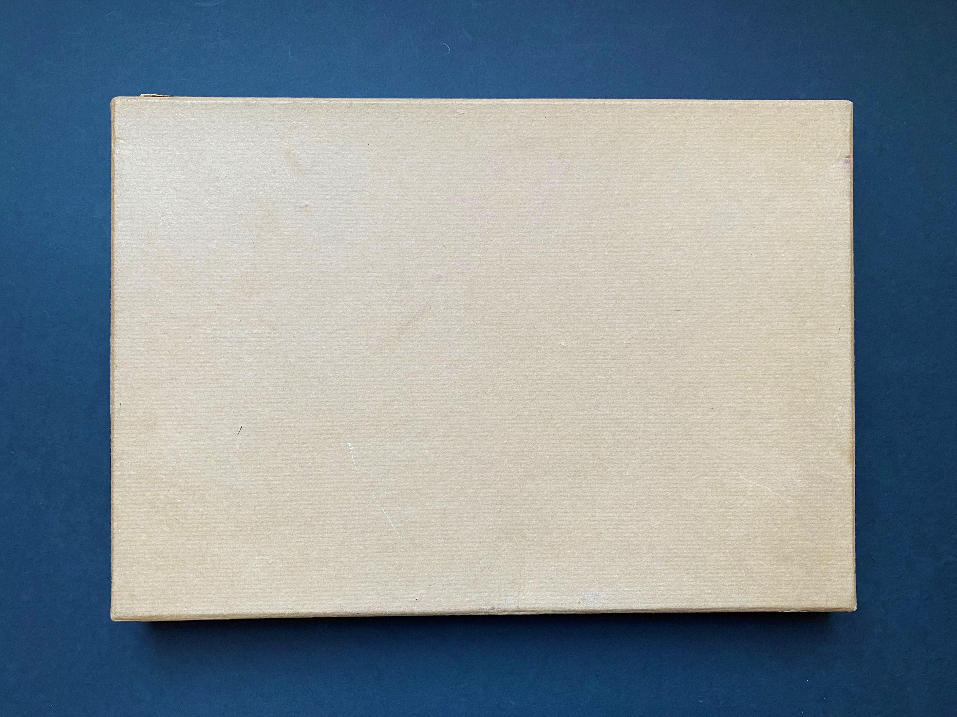 Gabinetto delle curiosità Collezione naturalistica di conchiglie Circa 1900 in vendita 2