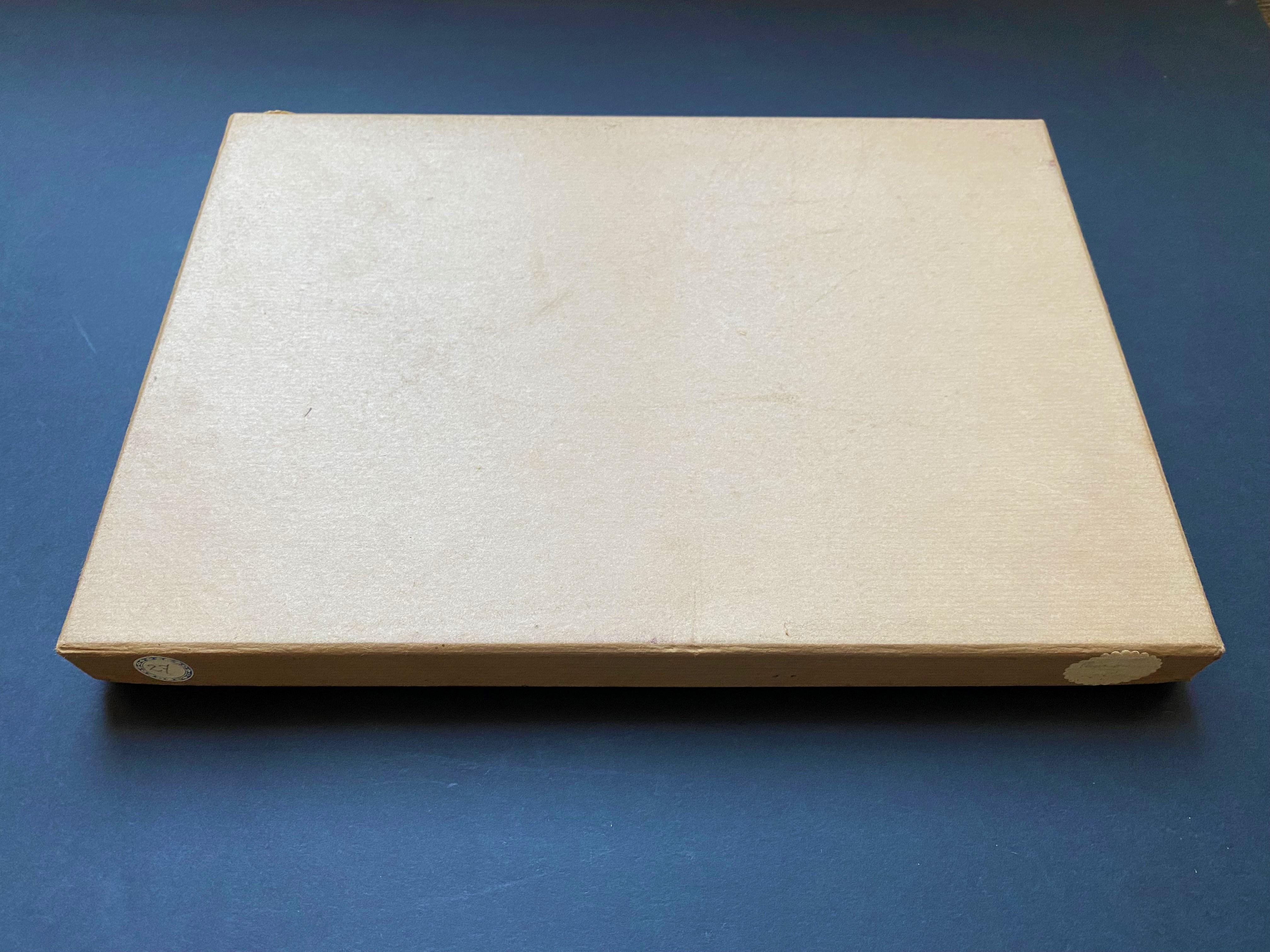 Gabinetto delle curiosità Collezione naturalistica di conchiglie Circa 1900 in vendita 3