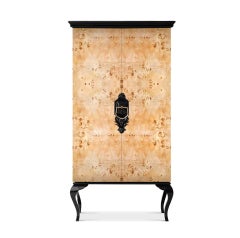 Cabinet Patch in Lacquered Wood