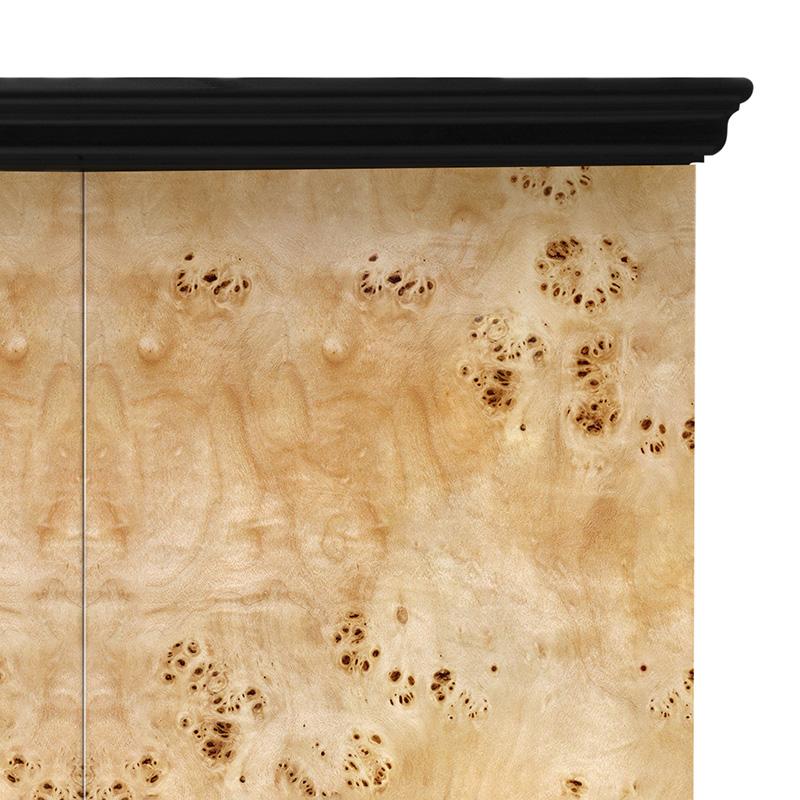 Palisander Cabinet Patch in Lacquered Wood For Sale