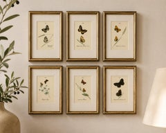 Cabinet-Size British Butterfly Engravings by Jardine & Lizars, 1835