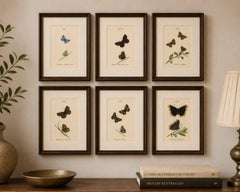 Cabinet-Size Butterfly Engravings with Jewel-Tone Species, Set of 6, 1835