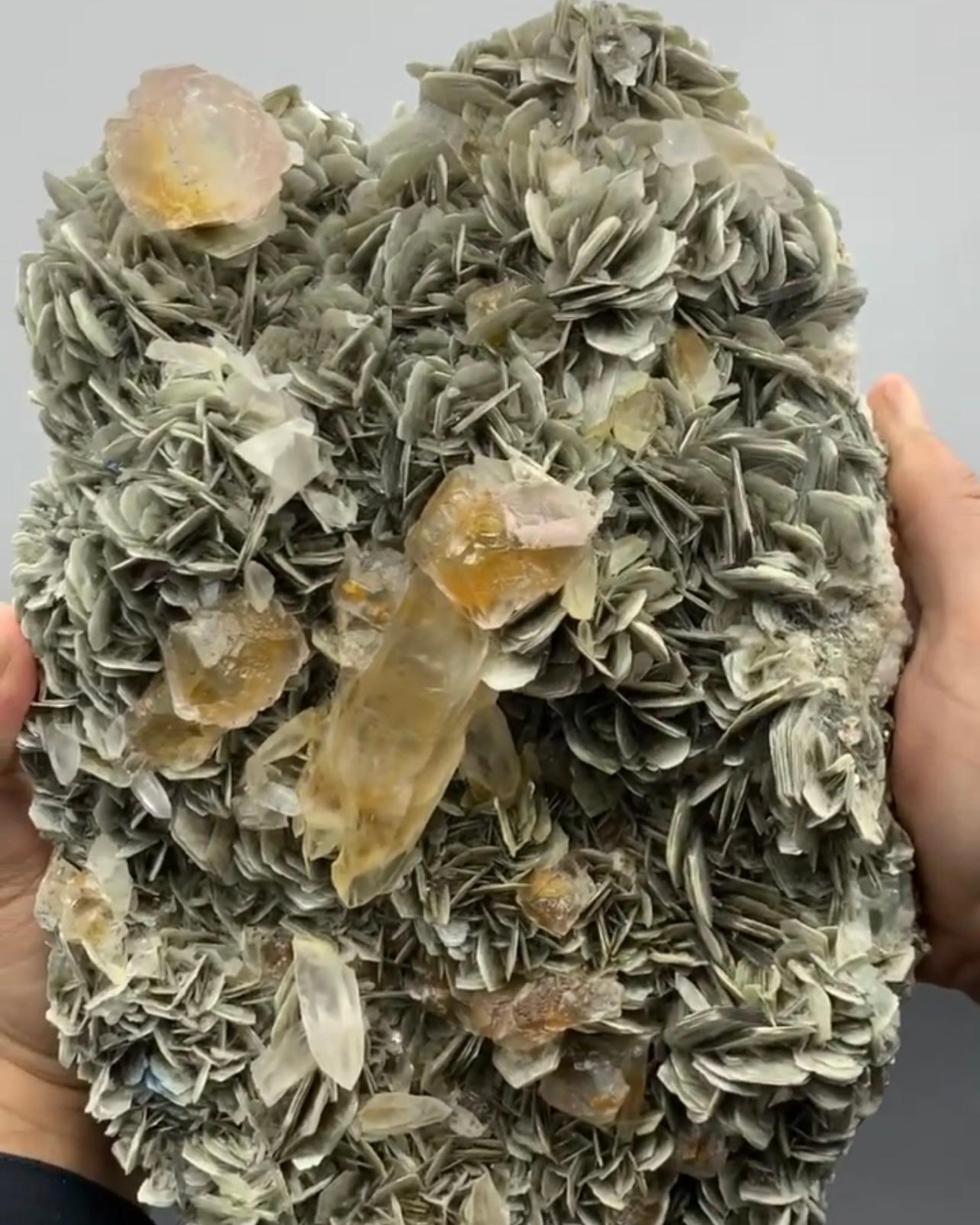 Product Information:

Specimen Name: Fluorite Crystal on Muscovite 

Weight: 6 kg

Dimensions: H: 28 x W: 23 x D: 10 cm

Treatment: None

Origin: Chumar Bakhur Mine, Nagar Valley, Skardu, Pakistan 

Description:

This exquisite specimen features
