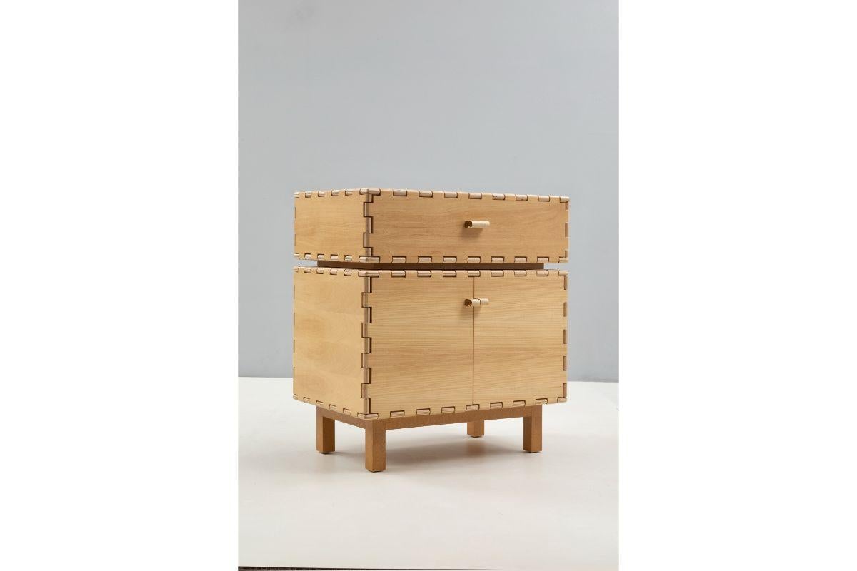 Cabinet with Display Box by Luis Pons 3