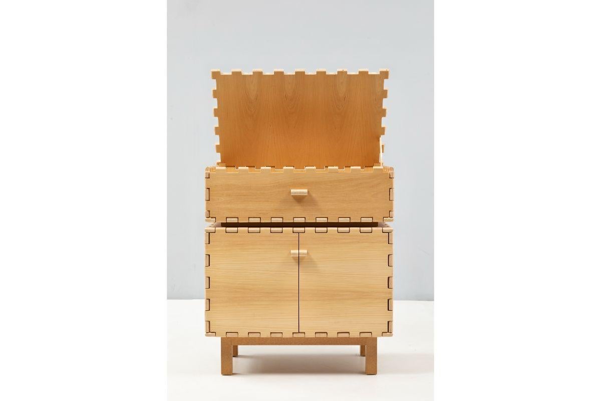 Modern Cabinet with Display Box by Luis Pons