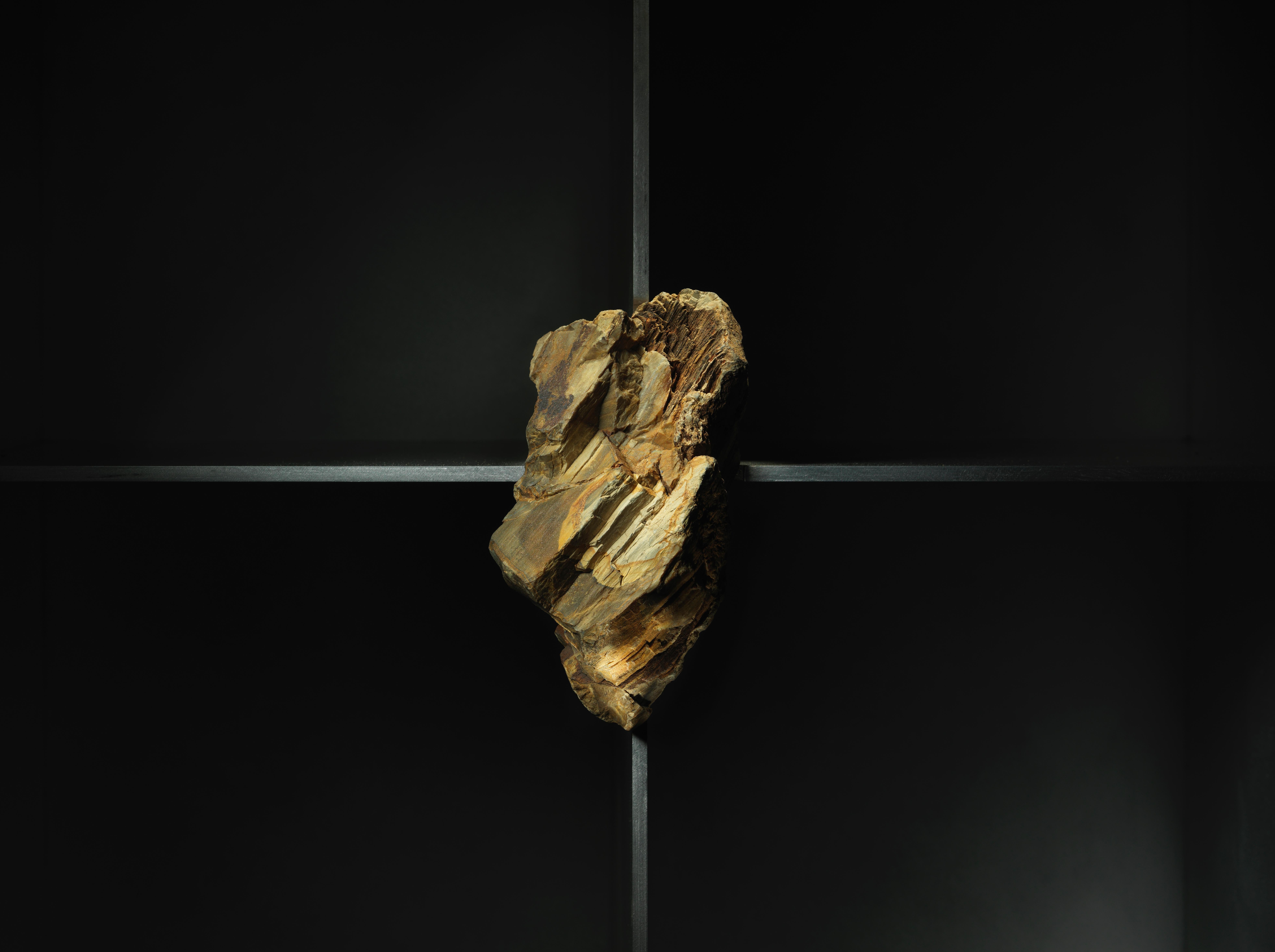 Contemporary Cabinet with Petrified Oak by Pierre De Valck For Sale
