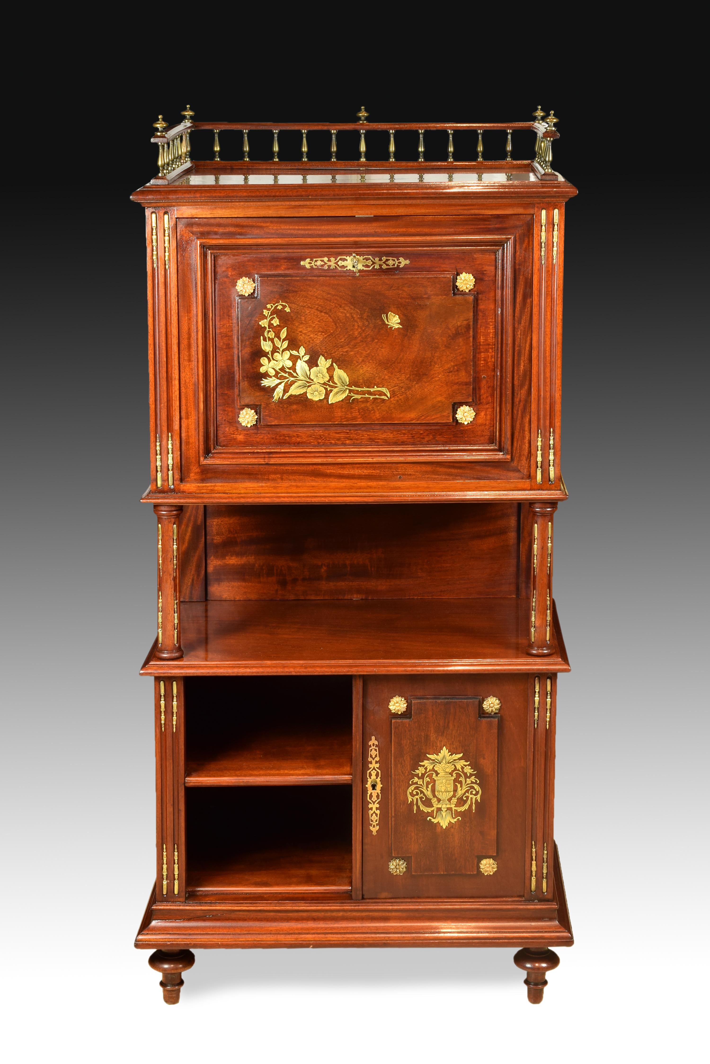 Neoclassical Cabinet with Writing Desk, Mahogany, Metal, 19th Century