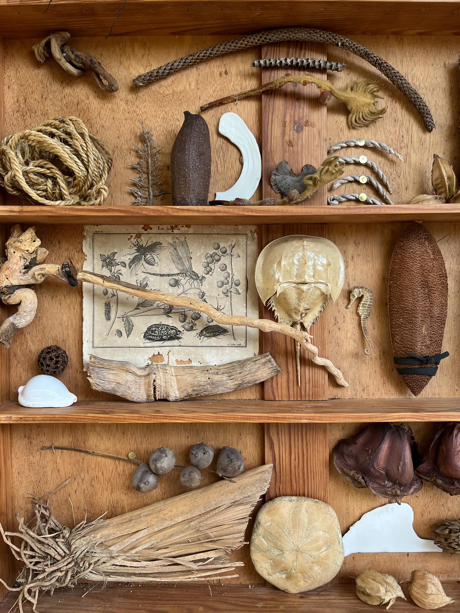 Contemporary Cabinets of Curiosities by Teresa Lacerda