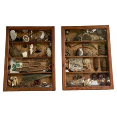 Cabinets of Curiosities by Teresa Lacerda