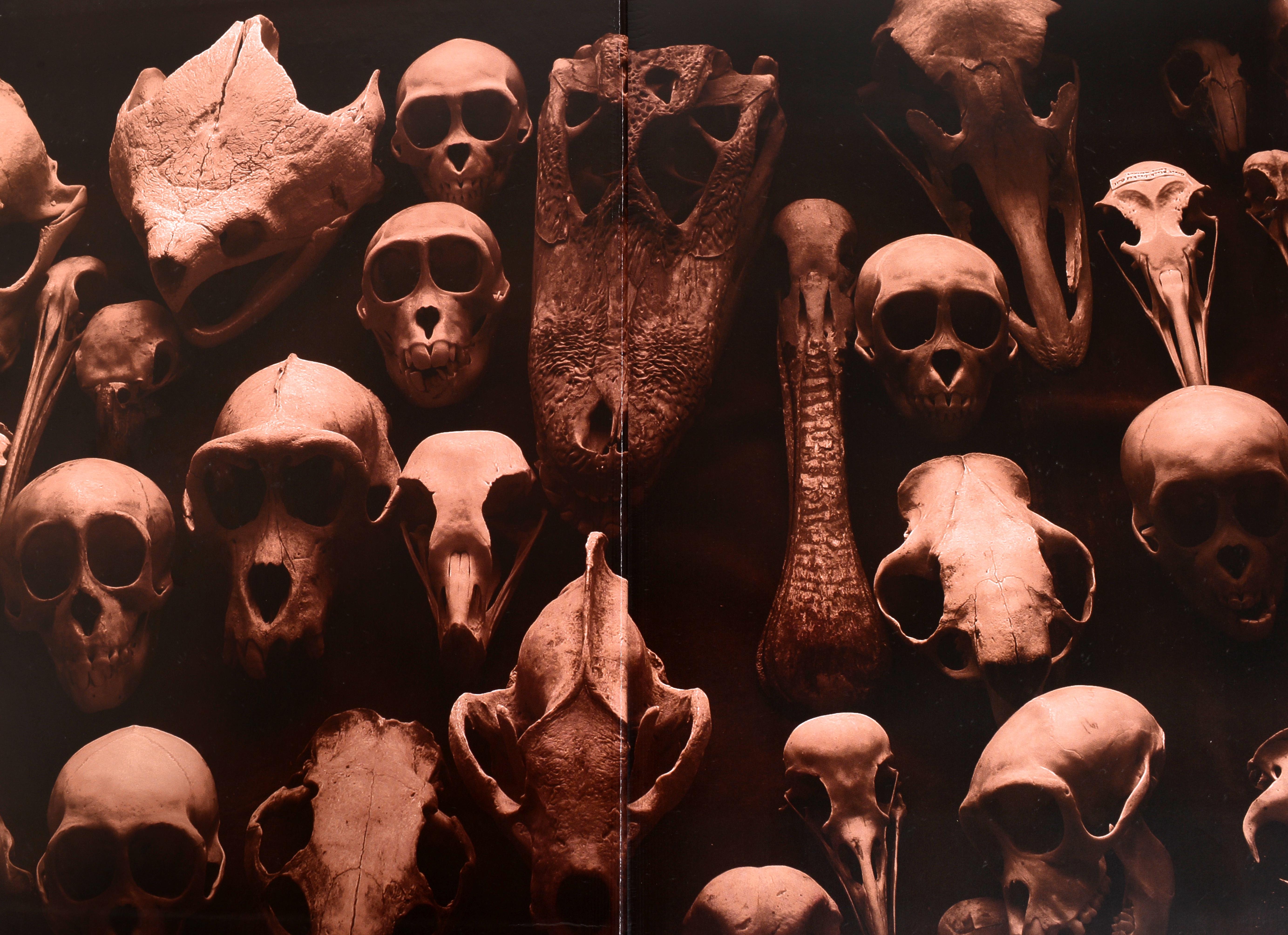 Cabinets de Merveilles par Christine Davenne et Christine Fleurent (Photographe). 1ère édition à couverture rigide. Publié en 2012, par Harry N. Abrams. 