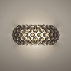 'Caboche Plus' Wall Light by Urquiola and Gerotto for Foscarini