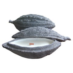Candela Cacao Cabosse