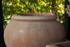 Cache Pot Grande Con Orlo