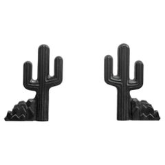 Cacti Cactus Cast Iron Andirons 