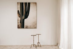 "cactus" Artwork by Pascale Dumons