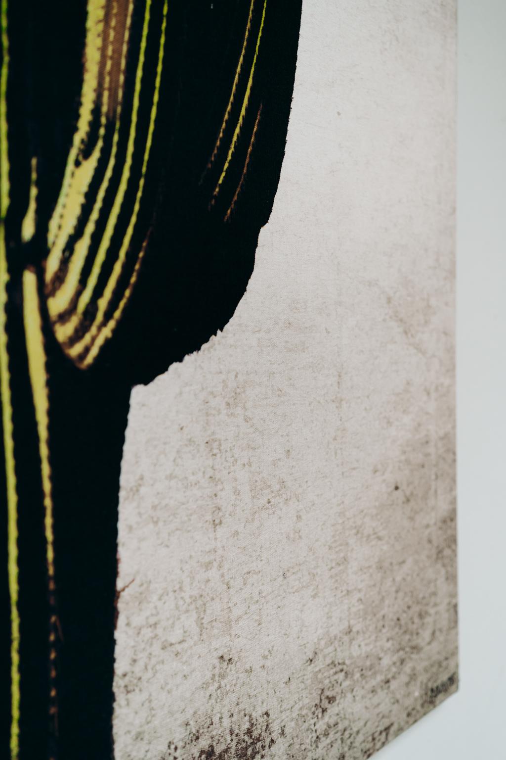 Œuvre d'art « cactus » de Pascale Dumons en vente 3