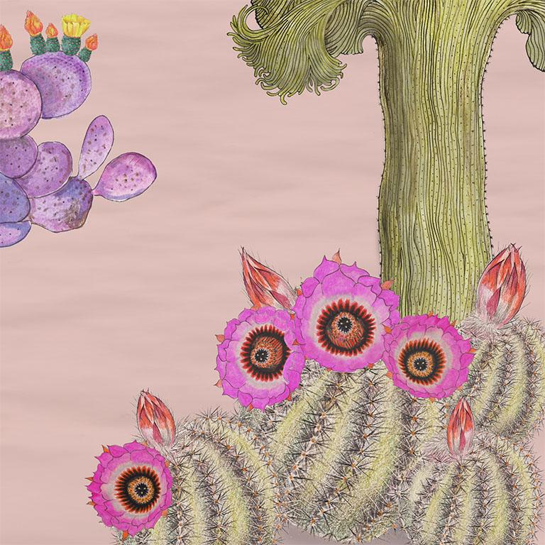 Altro Carta da parati botanica Cactus Mexicanos in Blush in vendita