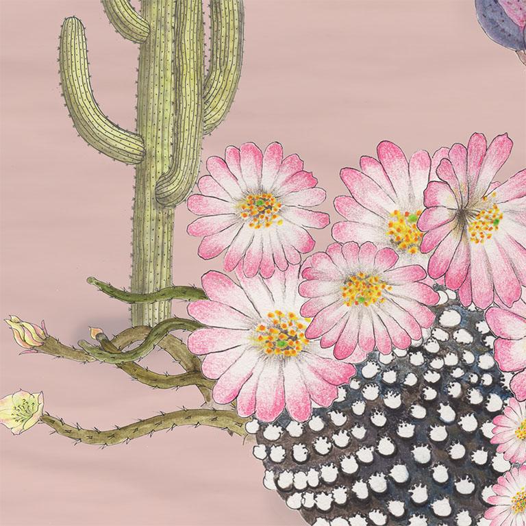Cactus Mexicanos in Blush Botanical Wallpaper