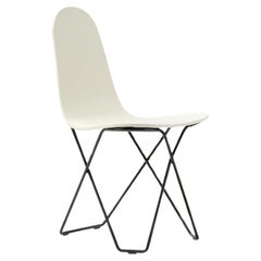 Cactus Pop Dining Chair by Cuero Design