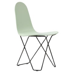 Cactus Pop Dining Chair by Cuero Design