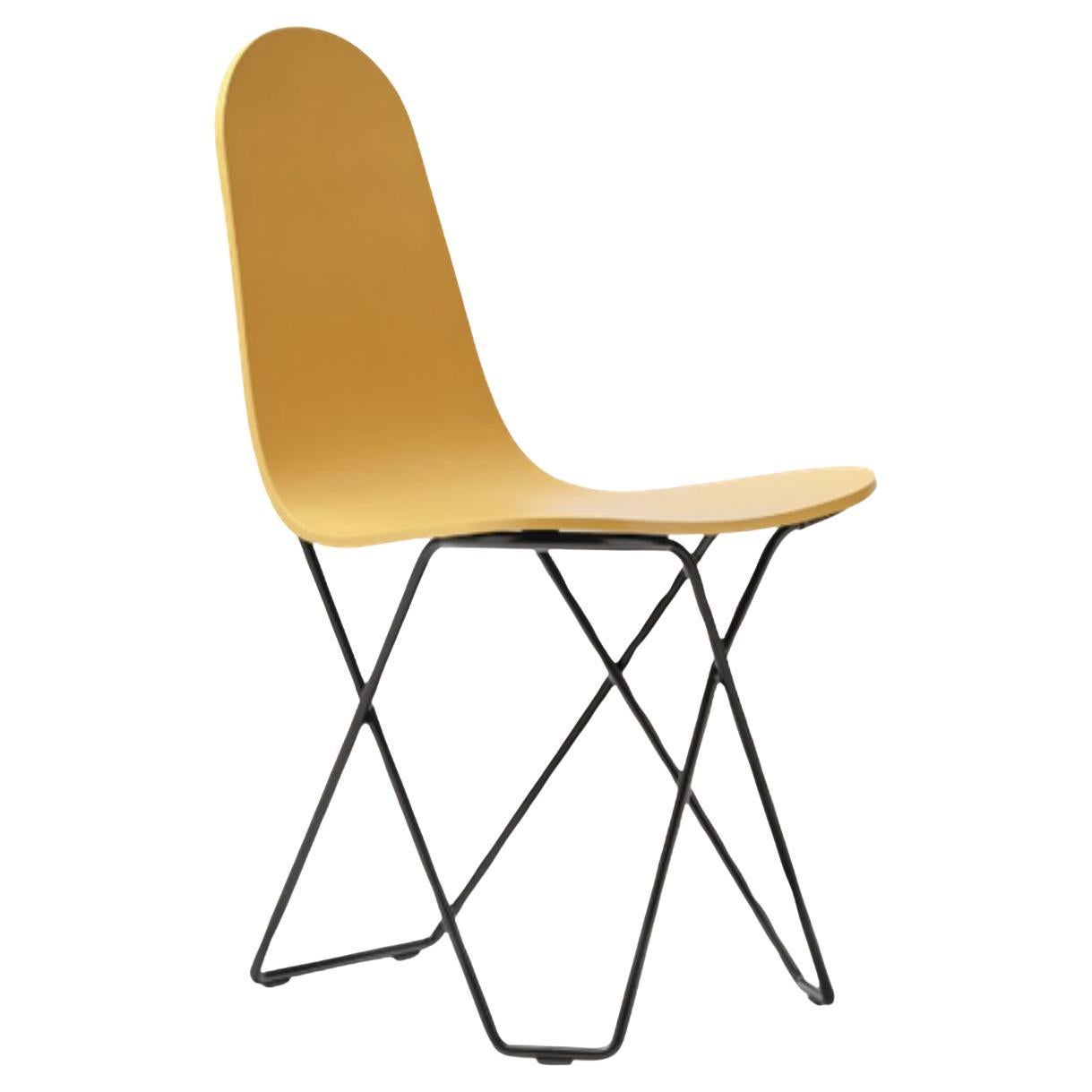 Cactus Pop Dining Chair by Cuero Design