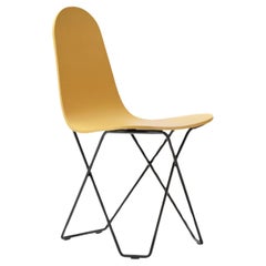 Cactus Pop Dining Chair by Cuero Design