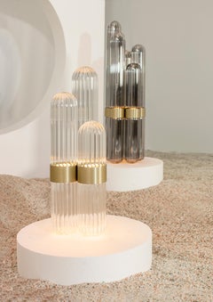 Cactus Small Transparent Polished Brass Table Lamp by Pulpo