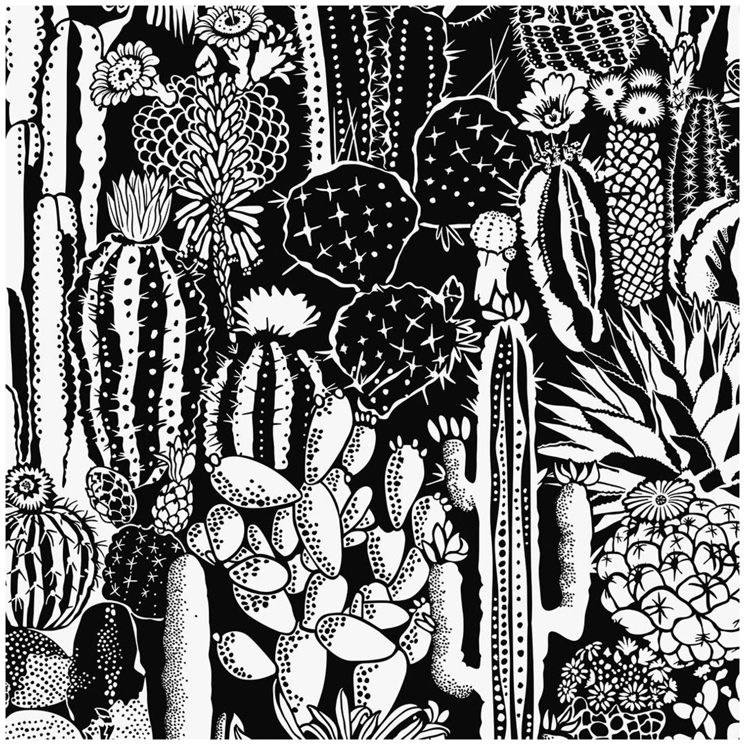 Cactus Spirit Type Ii Eco Friendly Wallpaper In Contrast Black And White For Sale At 1stdibs